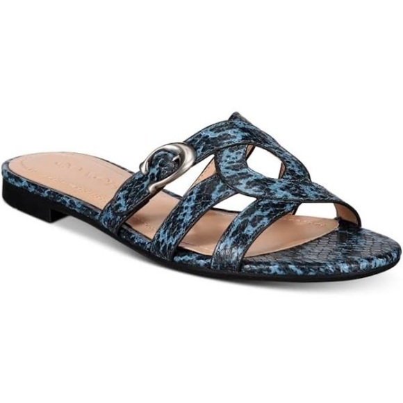 New! COACH Kennedy Slide Blue Snake Skin Sandal Various Sizes - Picture 1 of 9